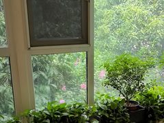 -一澜江宴·江景地标楚菜(江滩公园店)