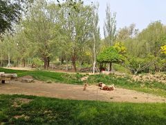 -北京野生动物园