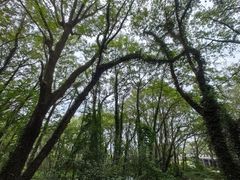 -西溪南古村落