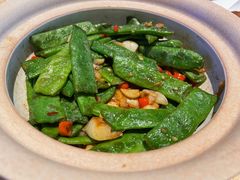 -柿合缘新京菜(国金中心商场店)