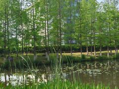 -金银湖国家城市湿地公园