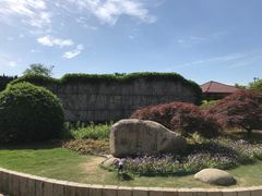 -嘉定紫藤园