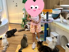-COLOR PETS 撸猫馆·购猫·猫咖(长风大悦城店)