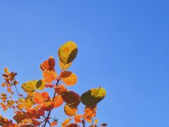 -周口店北京人遗址公园