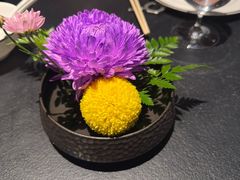-茶人村·前滩江景雅宴(上海首店)