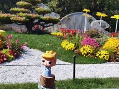 -上海共青森林公园