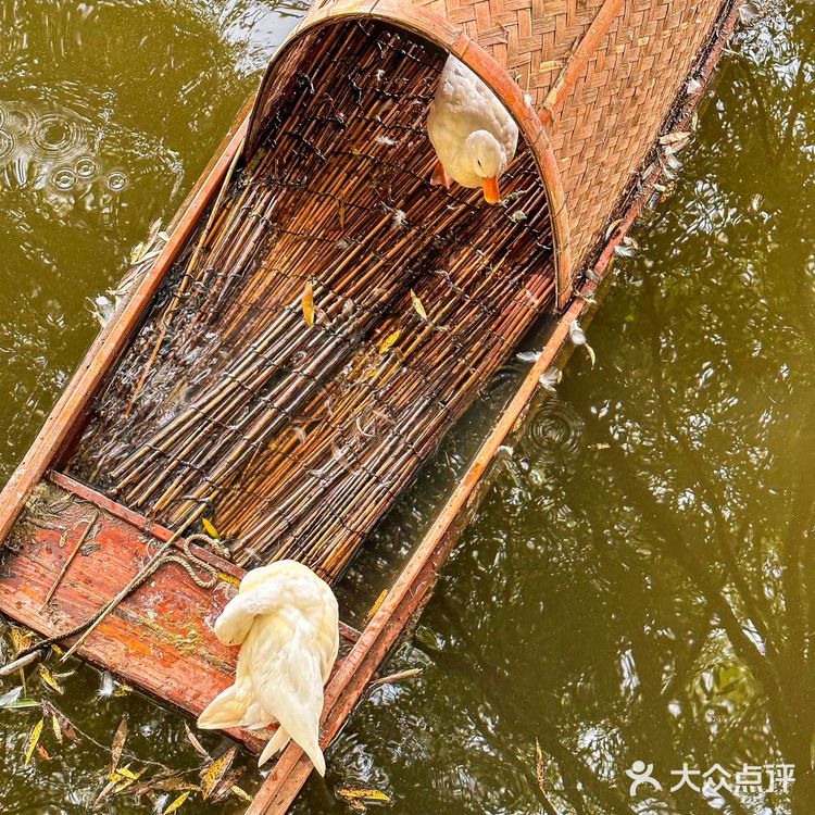 北京周末遛娃好去处,捞鱼挖沙子吃自助