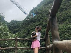 -宁波五龙潭景区