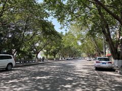 -德阳体育公园(旌阳街道)