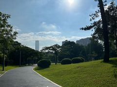 -四海公园(南山区)
