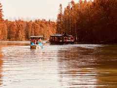 -上海海湾国家森林公园