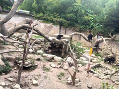 -上海动物园(地铁站)