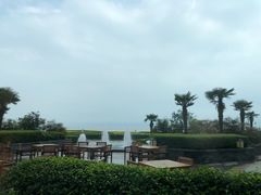 -山港凯悦酒店·咖啡厅