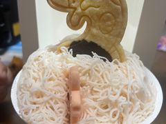 -猫里有甜