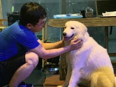 -阿尔法海鲜排档(爱琴海店)