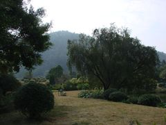 景点-南沙蒲洲花园