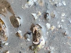 -兴城海滨风景区