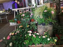 -听香·678茶铺(猛追湾店)