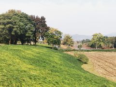 -良渚古城遗址公园