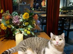 -IFIF 如果花園(宽厚里店)