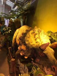 -恐龙探索乐园(磁器口店)