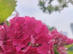 -月湖风景区