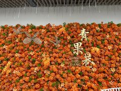 -青果巷历史文化街区