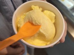 -iceason爱茜茜里·意大利健康冰淇淋(骑龙巷店)