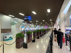 -海河游船-永乐码头(大悲院)