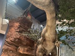 -湖南省地质博物馆