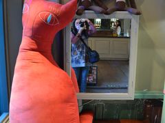 -猫咪博物馆(顶澳仔猫街店)