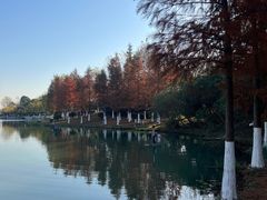 -滨湖塘西河公园