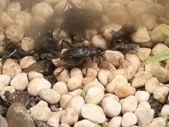 -上海昆虫博物馆