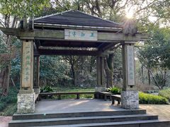 -上海吴淞炮台湾国家湿地公园