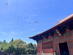 -善化寺