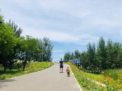 -东郊湿地公园