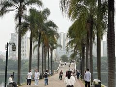 -南宁南湖公园