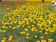 -长春公园(普阳街道)