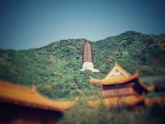 -深圳市中科院仙湖植物园