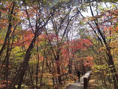 -名扬烤肉(起源店)