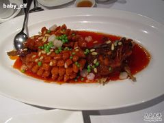 松鼠桂鱼（大爱）-福1039(愚园路店)