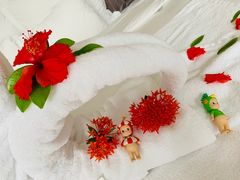 -三亚亚龙湾雅高铂尔曼别墅度假酒店