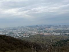-紫金山山顶公园