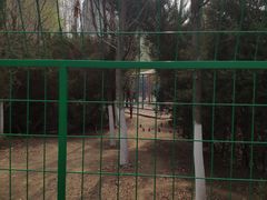 -长白岛森林公园