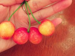 -西安赛瑞喜来登大酒店