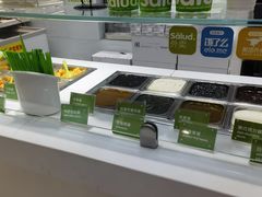 -Salud撒露欧洲冻酸奶(蓝色港湾店)