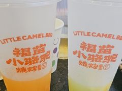 -福苗小骆驼烧烤(中关村店)