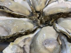 高压锅生蚝-明本湛江鸡•海鲜小厨(陈家祠店)