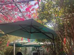 -豆舞咖啡(民乐路店)