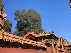 -故宫博物院(故宫)